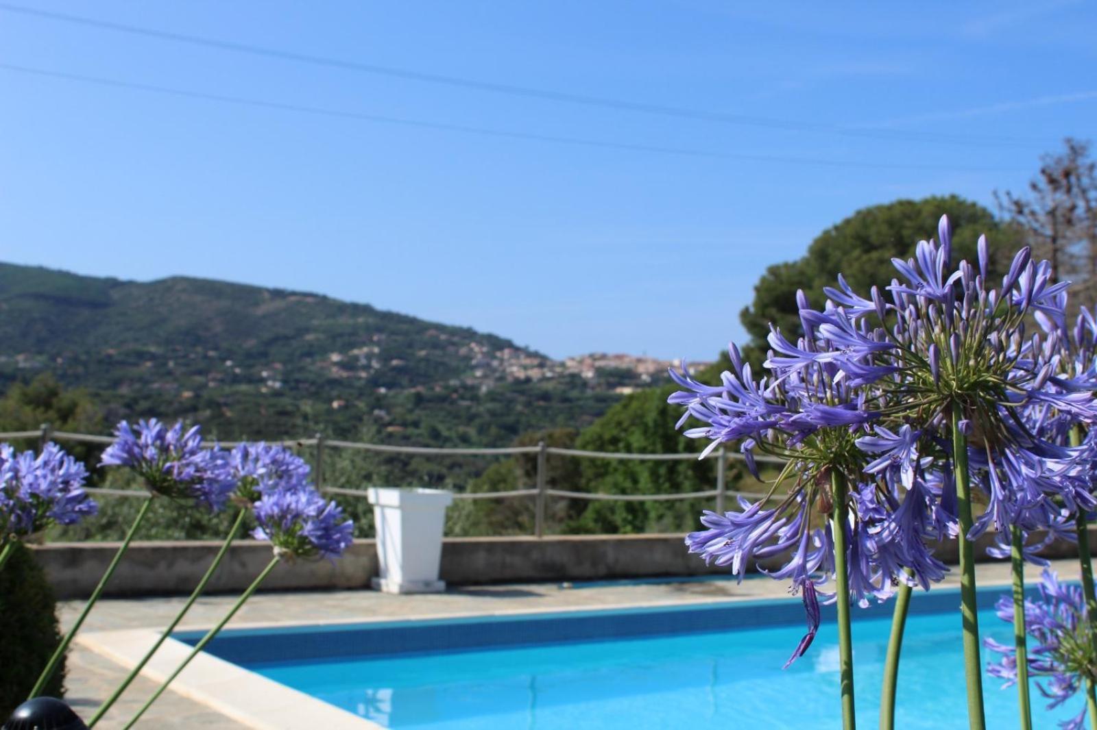 Residence Les Oliviers Порто-Аццурро Екстер'єр фото